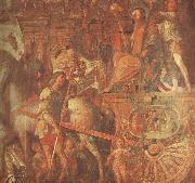 Caesar-s Chariot Andrea Mantegna